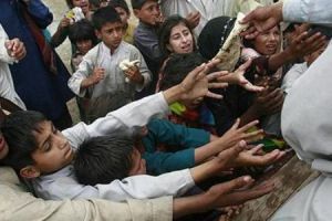 tarapour20101101224734390