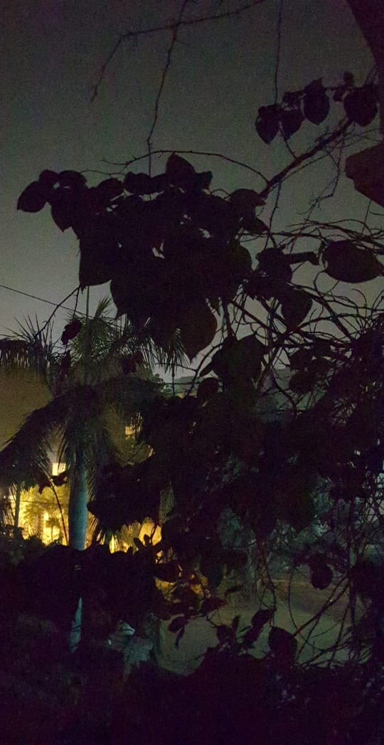 ‘Denial.’ def.: She’s Dead and I Can’t Write About&nbsp;it